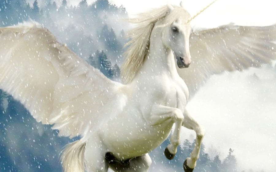 Fakta-Fakta Startup Agar Dapat Meraih Unicorn